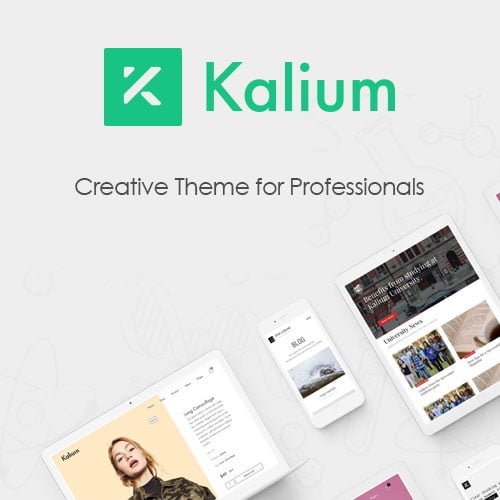 Kalium-–-Creative-Theme-for-Professionals.jpg